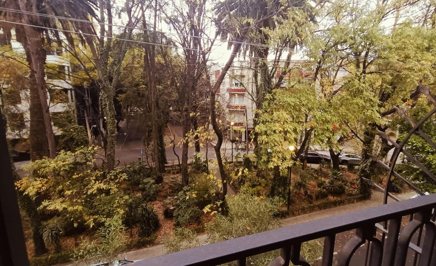 Casa Altata Hotel Boutique Mexico City Ngoại thất bức ảnh