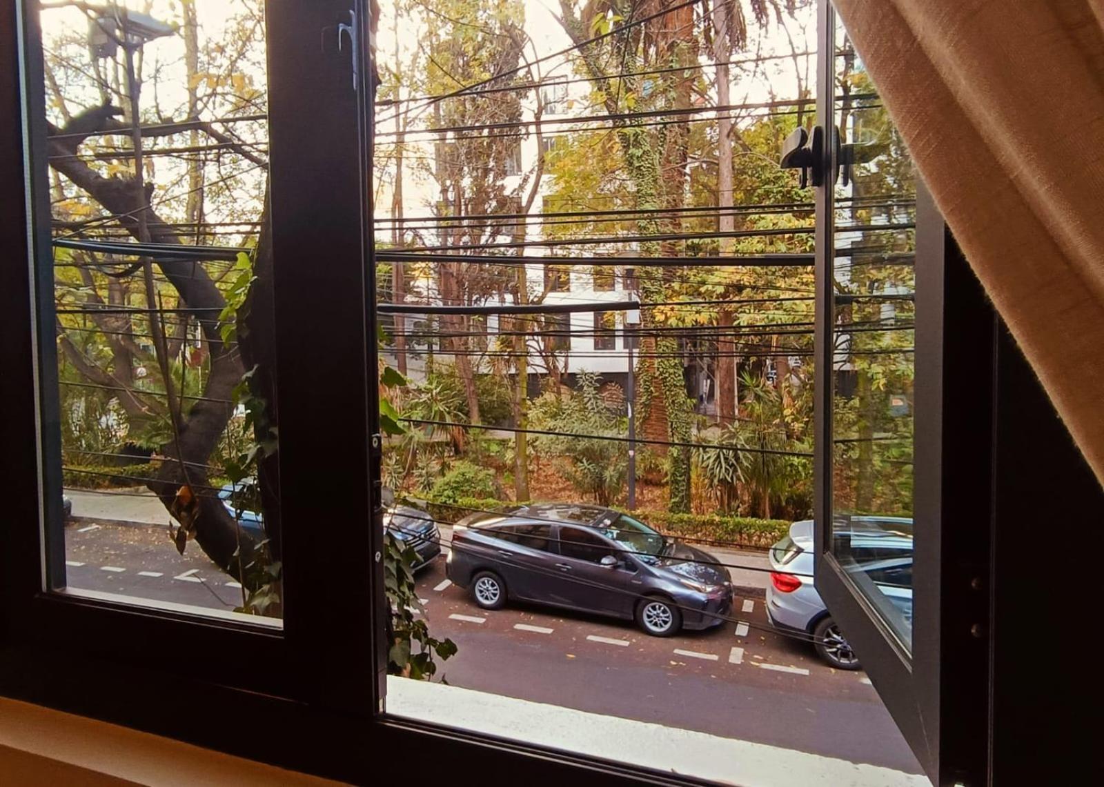 Casa Altata Hotel Boutique Mexico City Ngoại thất bức ảnh